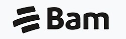 BAM logo